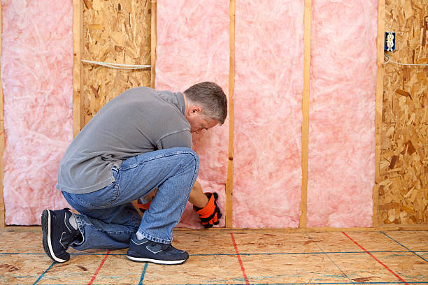 Best Blown-In Insulation  in Walcott, IA